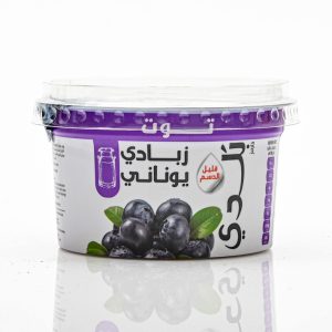 GREEK YOUGHURT- BLUEBERRY- 180G*12
