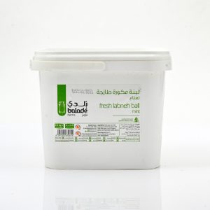 LABNEH BALLS ORIGINAL MINT - 2.5 KG*4